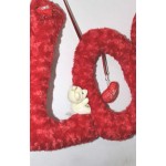 Beautiful Big Hanging Red Plush LOVE Letters with Teddy Couple
